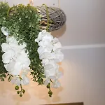 Bed & Breakfast Reginella